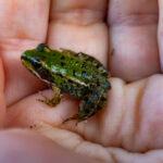 IMG-20220818-WA0004