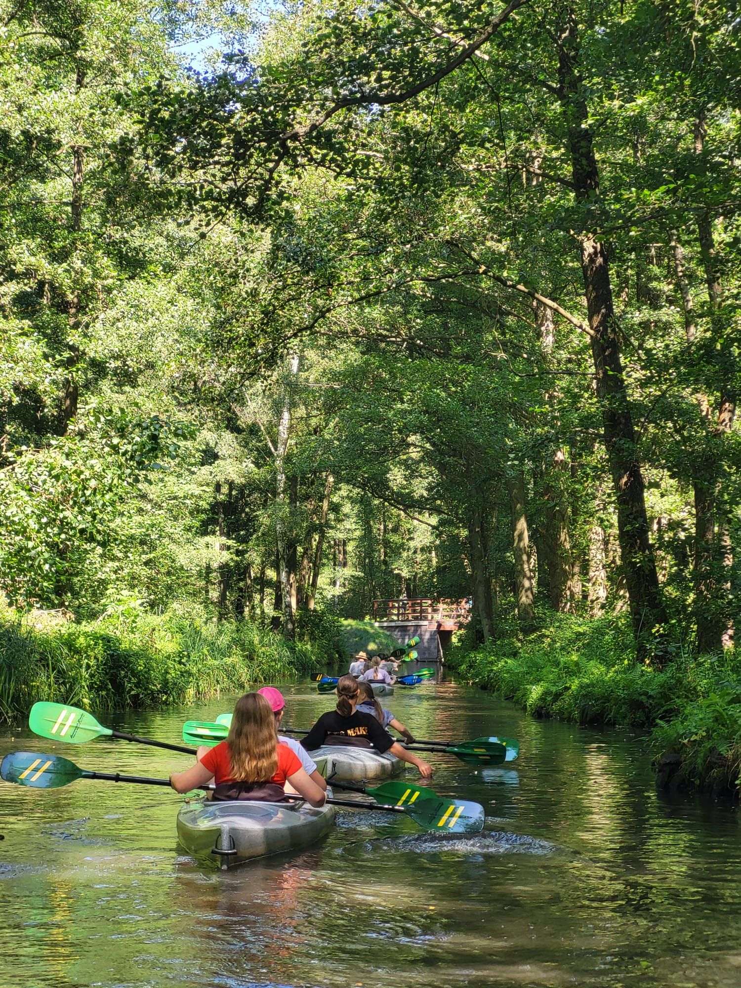 Paddeltoru durch den Spreewald 