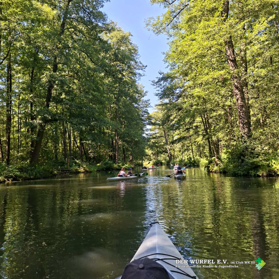 03 (10) Paddeltour durch den Spreewald