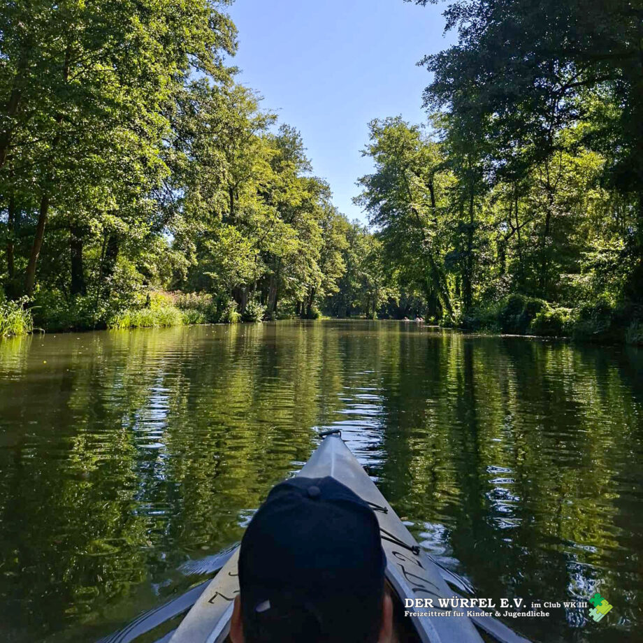 03 (11) Paddeltour durch den Spreewald