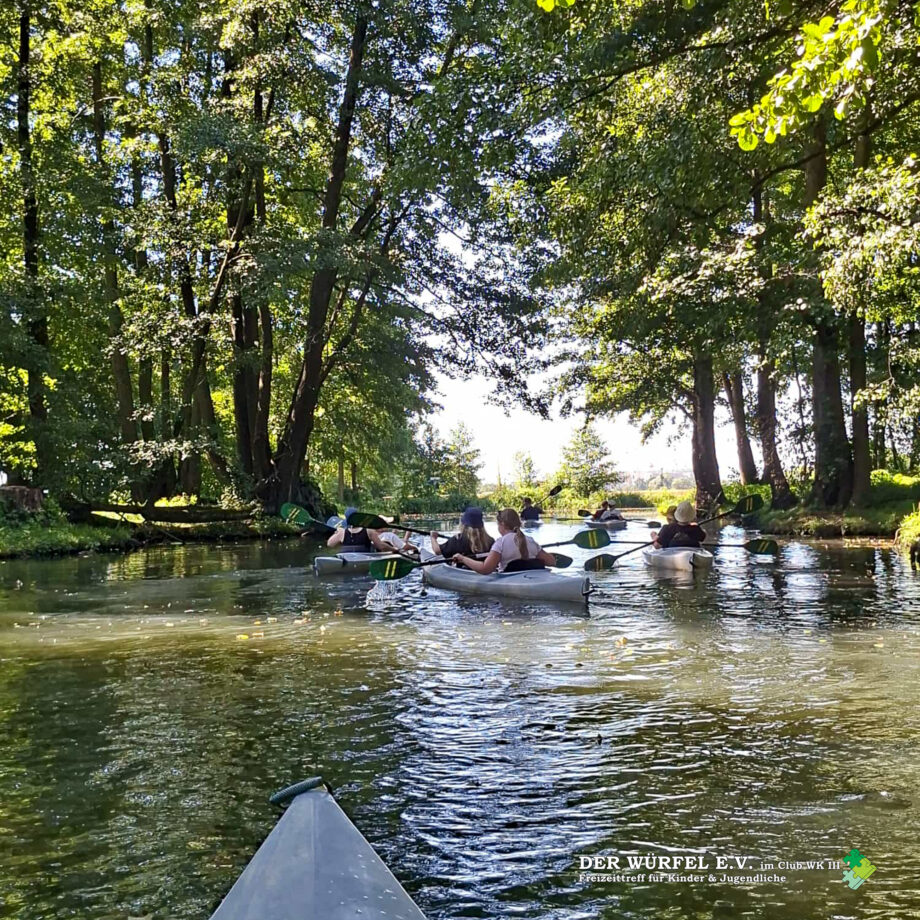 03 (5) Paddeltour durch den Spreewald
