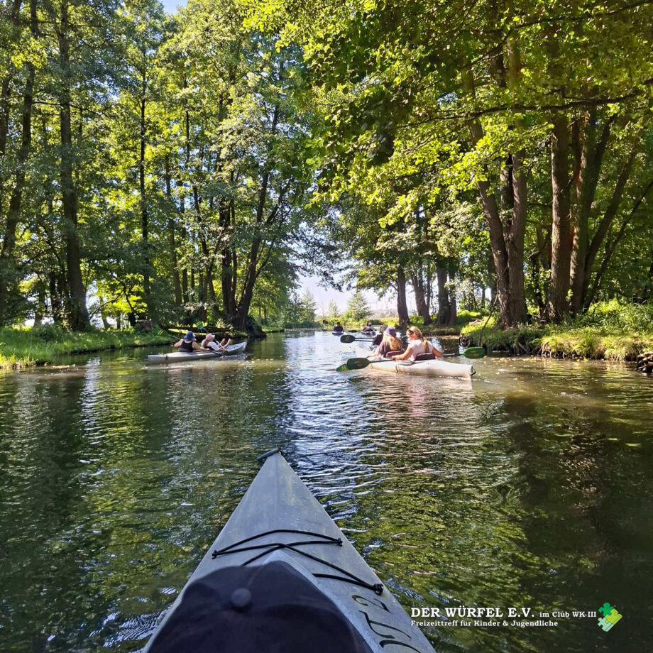 03 (6) Paddeltour durch den Spreewald