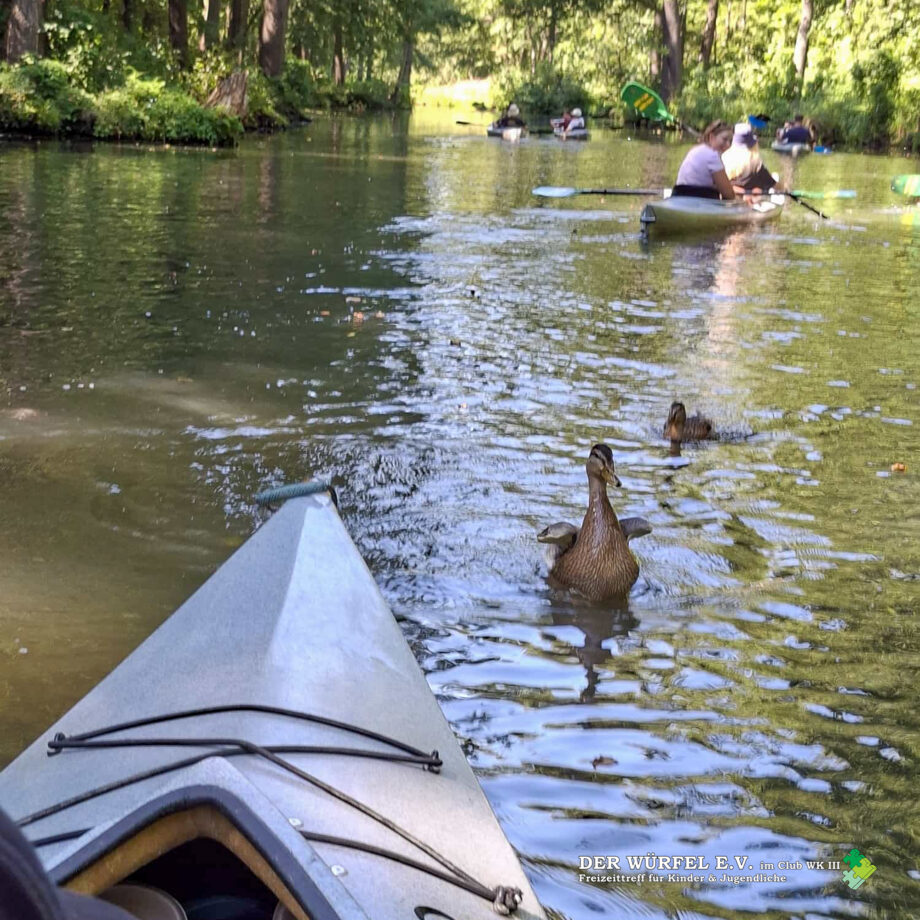 03 (7) Paddeltour durch den Spreewald