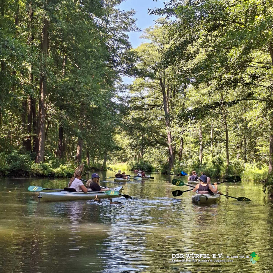 03 (8) Paddeltour durch den Spreewald